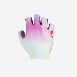 Guantes Castelli COMPETIZIONE 2 Hombre Multicolor Moradas | 3804-MJLGV